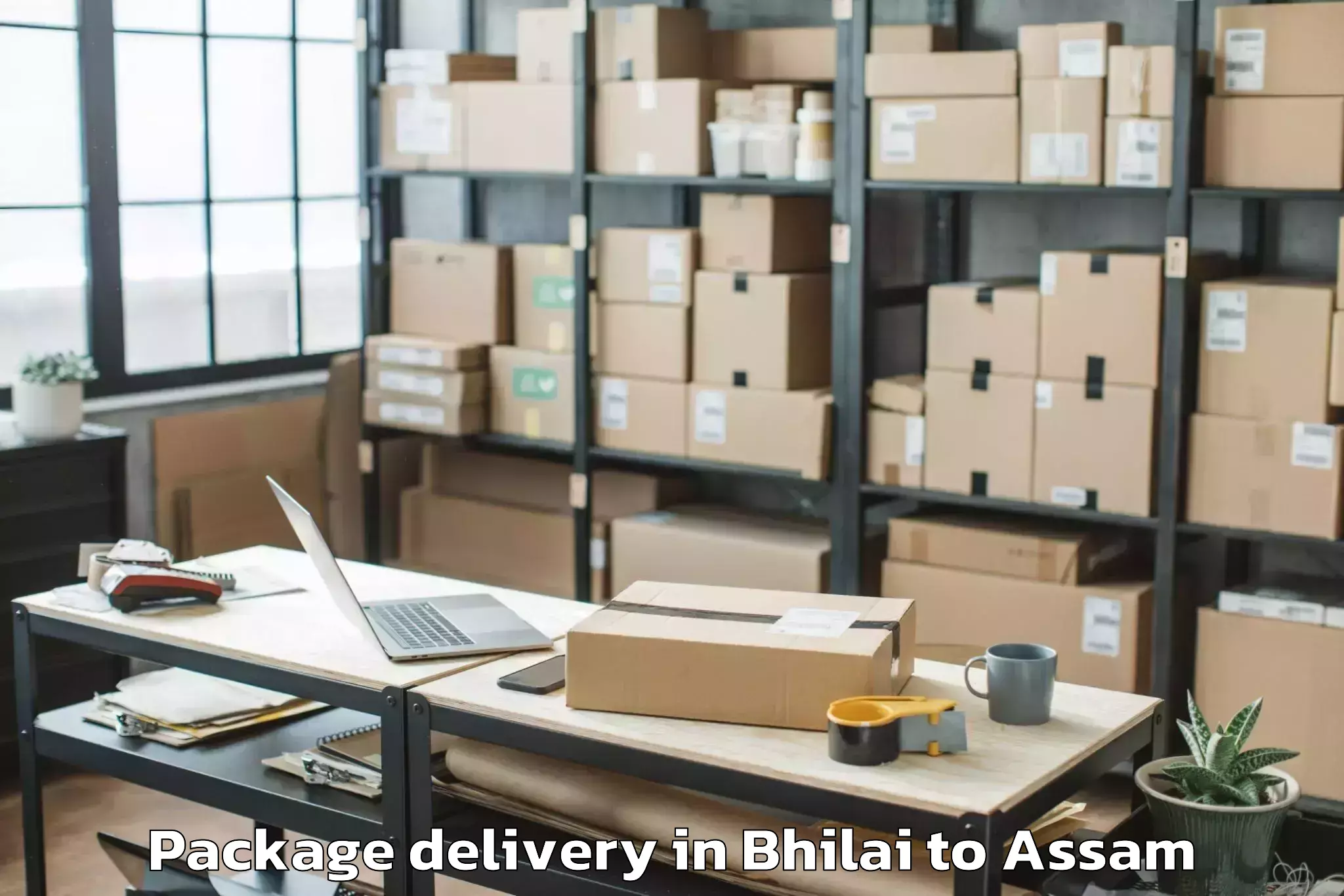 Leading Bhilai to Tezpur University Package Delivery Provider